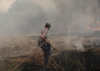 Wildfire in Afidnes area at the northern east outskirts of Athens, Greece on August 6, 2021. / Κατάσβεση πυρκαγιάς στις Αφίδνες Αττικής , 6 Αυγούστου 2021.